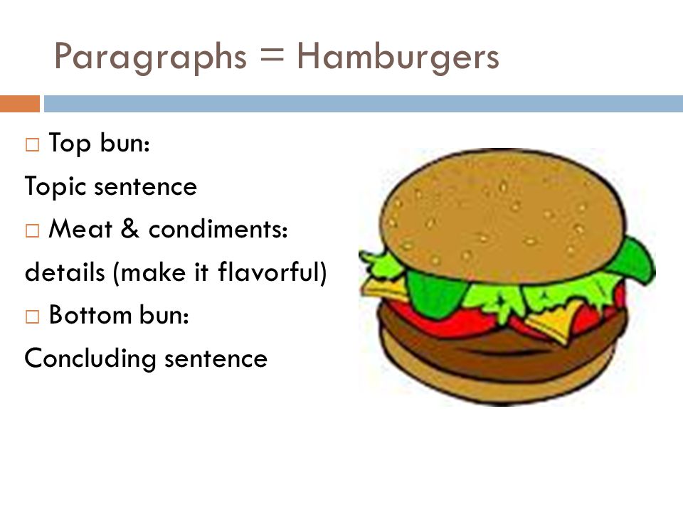 Topic sentence supporting sentences. Topic sentence. Topic sentence concluding sentence. Paragraph Burger. A paragraph and a topic sentence.